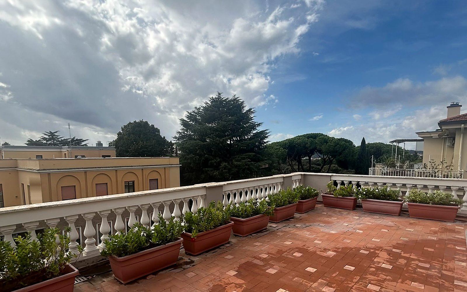 La terrazza dello Studio, con la balaustra e i pini di Roma sullo sfondo